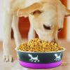 Stainless Steel Pet Bowl with Anti Skid Rubber Base and Dog Design, Gray and Pink