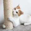 3-Tier Cat Tree - 2 Carpeted Napping Perches, Sisal Rope Scratching Post, Hanging Mouse, and Interactive Cheese Wheel Toy by (Tan)