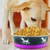 Stainless Steel Pet Bowl with Anti Skid Rubber Base and Dog Design, Large, Gray and Pink
