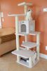 Armarkat 68-in real wood Cat Tree & Condo Scratching Post Tower, Ivory