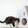 Key Largo Cat Scratcher, Modern Design, Triangle, Corrugated Cardboard Playhouse, Lounger, Keep Your Pet Happy and Healthy - White