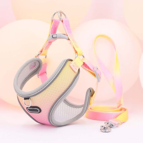 Pet Clothes Hand Holding Rope Out Dog Chest Strap