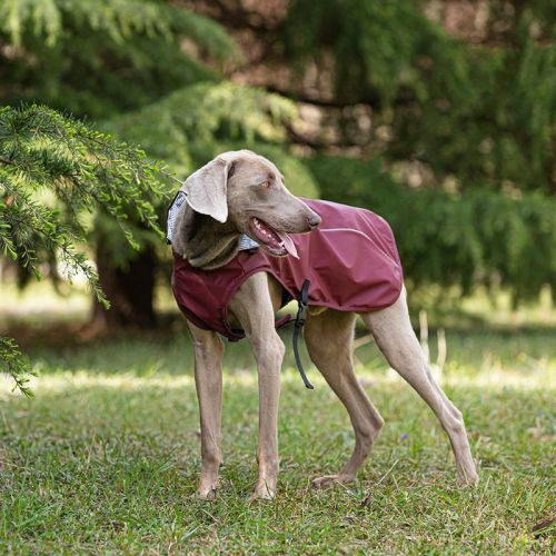 Pet Pu Raincoat Clothes Medium And Large Portable Universal