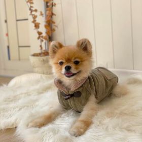 Autumn And Winter Pet Thickened Cotton Coat (Option: Army Green-S)